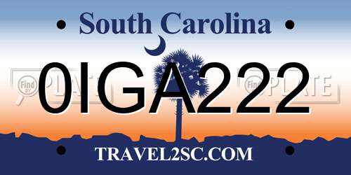 0IGA222 South Carolina License Plate