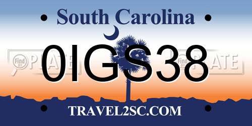 0IGS38 South Carolina License Plate