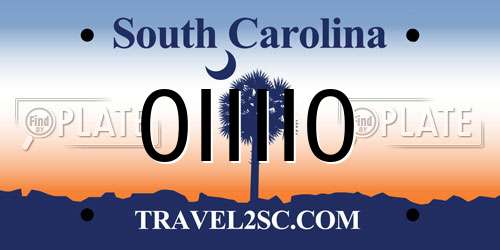 0IIII0 South Carolina License Plate