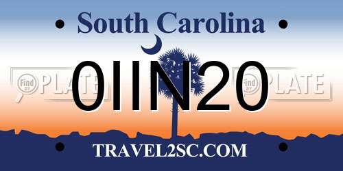 0IIN20 South Carolina License Plate