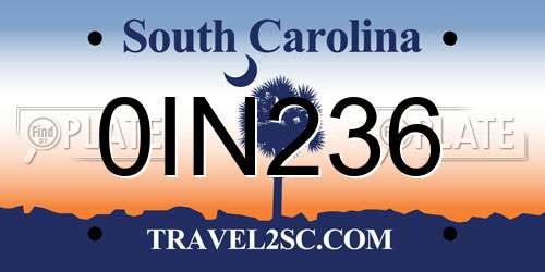 0IN236 South Carolina License Plate