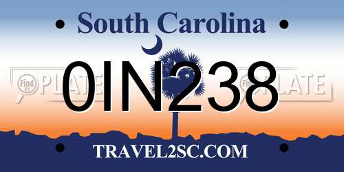 0IN238 South Carolina License Plate
