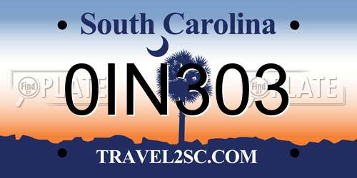 0IN303 South Carolina License Plate