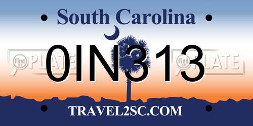 0IN313 South Carolina License Plate