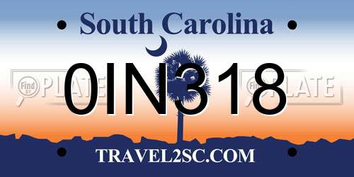 0IN318 South Carolina License Plate