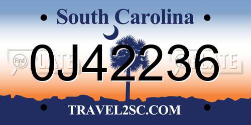 0J42236 South Carolina License Plate