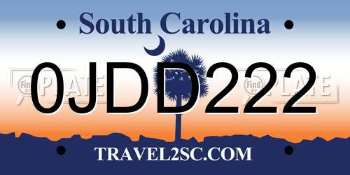 0JDD222 South Carolina License Plate