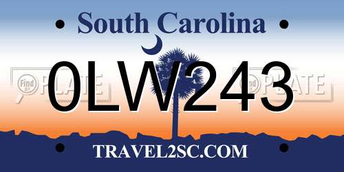 0LW243 South Carolina License Plate