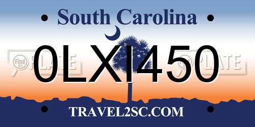 0LXI450 South Carolina License Plate