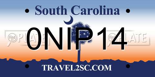 0NIP14 South Carolina License Plate