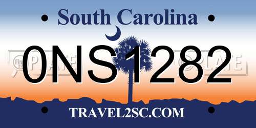 0NS1282 South Carolina License Plate