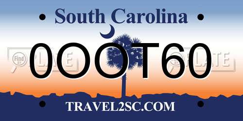 0OOT60 South Carolina License Plate