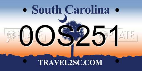0OS251 South Carolina License Plate