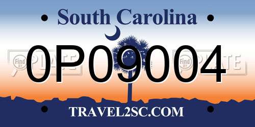 0P09004 South Carolina License Plate