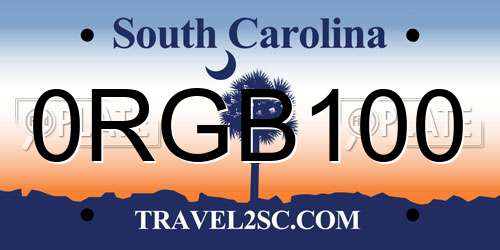 0RGB100 South Carolina License Plate