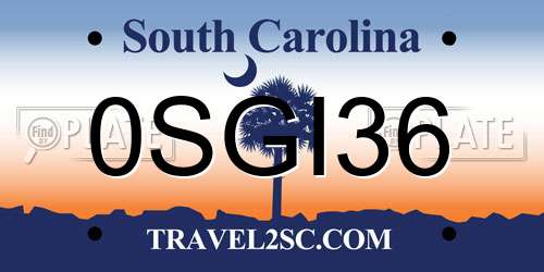 0SGI36 South Carolina License Plate