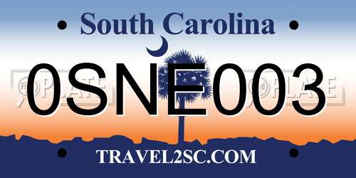 0SNE003 South Carolina License Plate