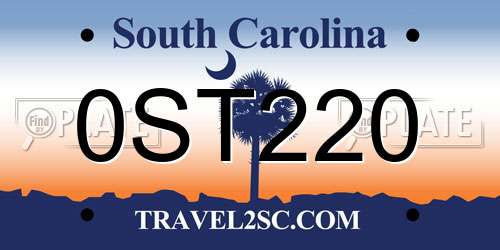 0ST220 South Carolina License Plate