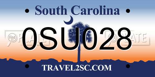 0SU028 South Carolina License Plate