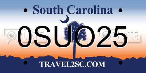 0SUO25 South Carolina License Plate