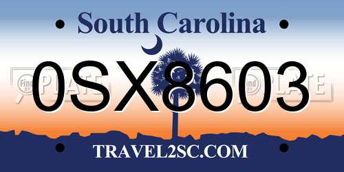 0SX8603 South Carolina License Plate