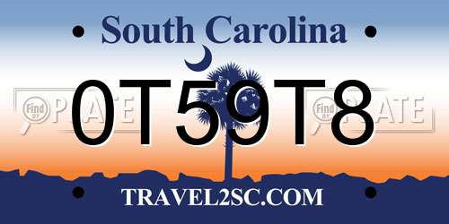 0T59T8 South Carolina License Plate