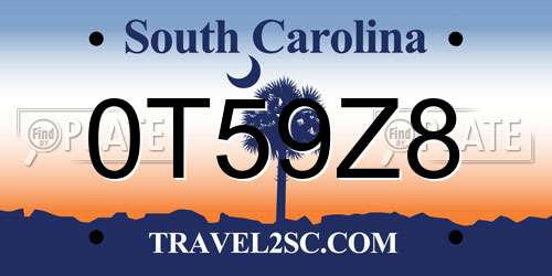 0T59Z8 South Carolina License Plate