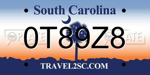 0T89Z8 South Carolina License Plate