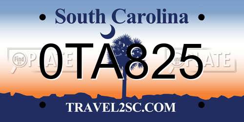 0TA825 South Carolina License Plate