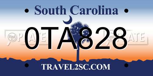 0TA828 South Carolina License Plate