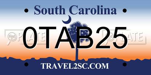 0TAB25 South Carolina License Plate
