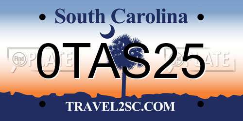 0TAS25 South Carolina License Plate
