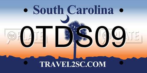 0TDS09 South Carolina License Plate
