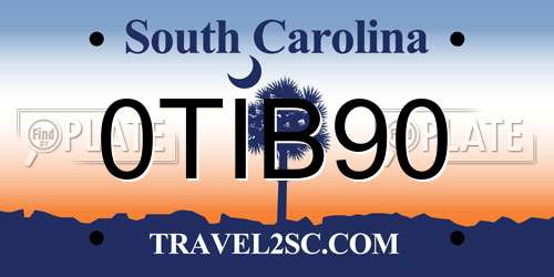 0TIB90 South Carolina License Plate