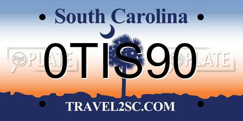 0TIS90 South Carolina License Plate