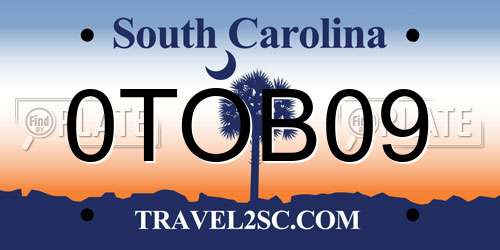 0TOB09 South Carolina License Plate