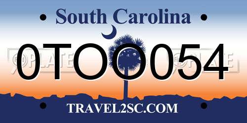 0TOO054 South Carolina License Plate
