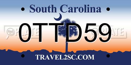 0TTD59 South Carolina License Plate