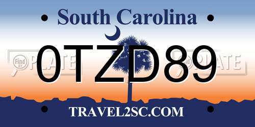 0TZD89 South Carolina License Plate
