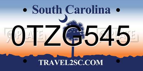 0TZG545 South Carolina License Plate