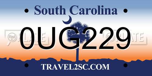 0UG229 South Carolina License Plate