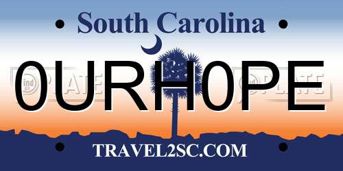 0URH0PE South Carolina License Plate