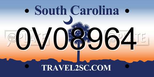 0V08964 South Carolina License Plate