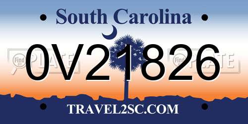0V21826 South Carolina License Plate