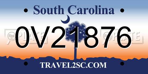 0V21876 South Carolina License Plate