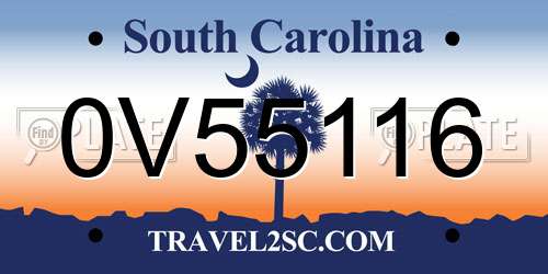 0V55116 South Carolina License Plate