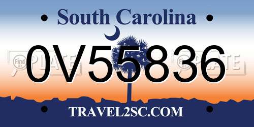 0V55836 South Carolina License Plate