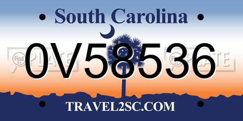 0V58536 South Carolina License Plate