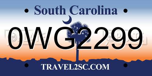 0WG2299 South Carolina License Plate