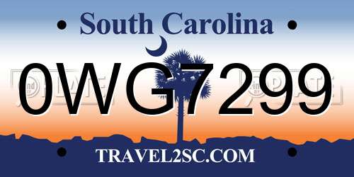 0WG7299 South Carolina License Plate